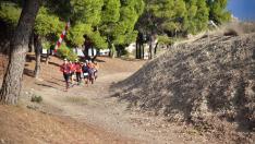La carrera tiene la salida y la llegada en los Pinares de Venecia.