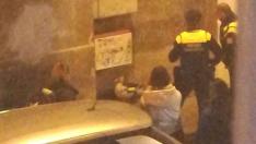 Un pato causa revuelo en las calles de Zaragoza