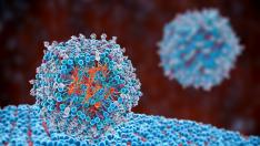 Las vacunas de ARN, que protagonizaron la lucha frente a la covid-19, se ensayan también contra el cáncer.
