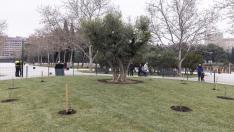 Inauguración del Jardín de la Paz en la Aljafería.