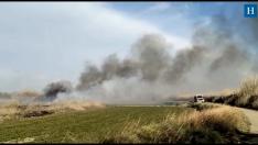Al menos una hectárea quemada en el incendio de un campo en Pina de Ebro, Zaragoza