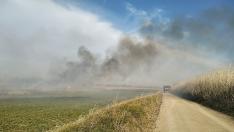 Incendio en un campo en Pina de Ebro.