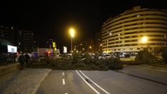 El fuerte viento ha derribado un árbol de gran porte en el camino de las Torres de Zaragoza