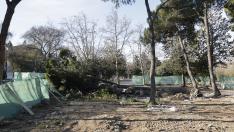 Reabren los parques en Zaragoza tras las fuertes rachas de viento.