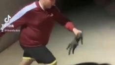 Momento en el que el menor le da una patada a un gato