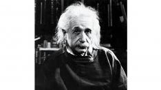 Albert Einstein WEB