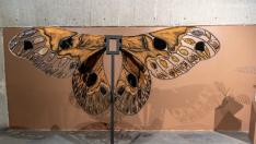 La mariposa nocturna cuatro espejos que inspira a Cristina Huarte.