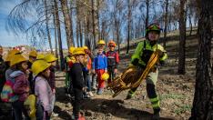 Actividades prácticas de los alumnos de Ateca con agentes forestales