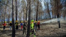 Actividades prácticas de los alumnos de Ateca  con agentes forestales