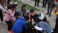 Un grupo de escolares planta una sabina junto al monasterio de Sijena