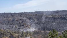 Cuadrillas de bomberos forestales de Aragón en Los Peiros, sofocando el incendio de San Agustín.