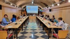 Sesión de constitución del Observatorio de Migraciones y Diversidad Cultural de Aragón