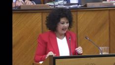 Maribel Mora arroja arena de Doñana sobre el escaño de Juanma Moreno.