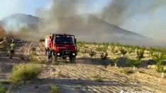 Bomberos de la DPZ colaboran en la extinción del incendio de Mequinenza.