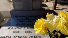 rosas sobre la tumba de Cajal