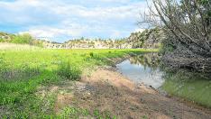 El caudal de entrada del río Guadalaviar en el pantano del Arquillo ha entrado en alerta por sequía.