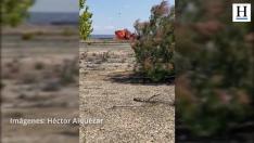 Nuevo vídeo del accidente del F-18