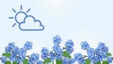 Tiempo y temperaturas en Zaragoza Florece