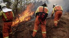 El fuego arrasa en España casi 40.000 hectáreas hasta abril, más del doble que el año pasado