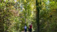 Baño de bosque en el entorno del río Mijares