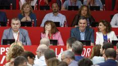 Pedro Sánchez, durante la celebración, este sábado, del Comité Federal del PSOE en Madrid.