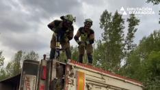 Los bomberos de la DPZ tuvieron que excarcelar a los animales