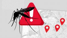 Mapa del mosquito en Zaragoza. gsc