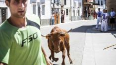 Vaquillas en las fiestas de El Burgo de Ebro