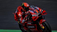 Francesco Bagnaia, Moto GP