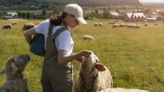 Imagen mujer-pastor-alimentando-ovejas-vist (39565708)