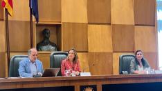 El Consejo de Ciudad reunido este viernes en el salón de plenos del Ayuntamiento de Zaragoza.