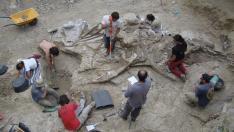 Hallan en Castellón el Garumbatitan morellensis, un nuevo dinosaurio saurópodo gigante