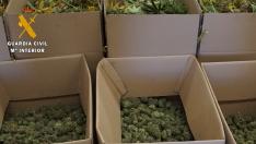 La marihuana cultivada en Centro Vía