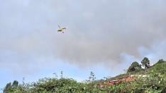 Reactivación del incendio forestal en la zona alta de La Orotava.