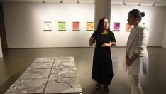 Visita guiada a la nueva exposición 'Ecologías Fragmentadas' de Esther Pizarro en la DPH.