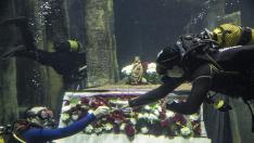 Instante de la Ofrenda subacuática, este miércoles en el Acuario