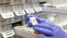 El CNIO acoge el primer repositorio mundial de muestras vivas de metástasis cerebral.