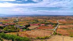 Vista general del bonito pueblo de Álava para visitar en noviembre y sus viñedos