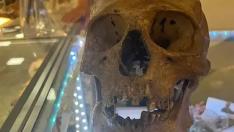 Un antropólogo descubre un cráneo humano en la sección de Halloween de una tienda de Florida