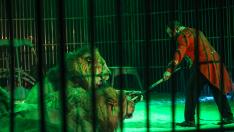 Imagen del animal y del circo del que se escapó.