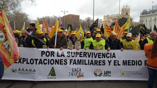 Participantes aragoneses en la protesta en Madrid.