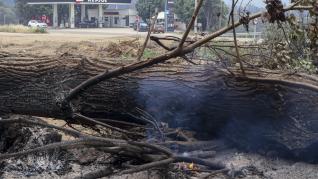 El de la Sierra de la Culebra ha sido el incendio forestal más grave en diez años.