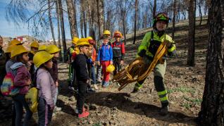 Actividades prácticas de los alumnos de Ateca con agentes forestales