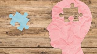 Salud mental, psicología, psicólogo,