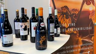 Algunos de los vinos con el sello ‘Ecoprowine’.