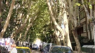 calle jose oto