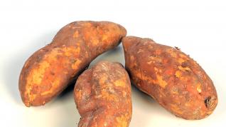 Batatas o boniatos, tubérculos llegados de América tras el descubrimiento.