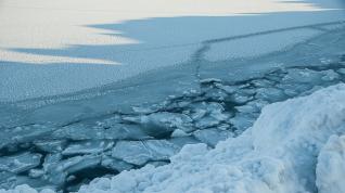 Un fenómeno inédito en el Ártico pone en peligro la vida marina