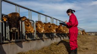 Las mujeres que se dedican profesionalmente a la agricultura y la ganadería tienen más arraigo al territorio.