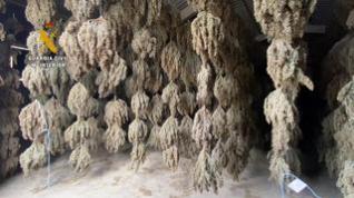 La Guardia Civil incauta más de ocho toneladas de marihuana en Sabiñánigo